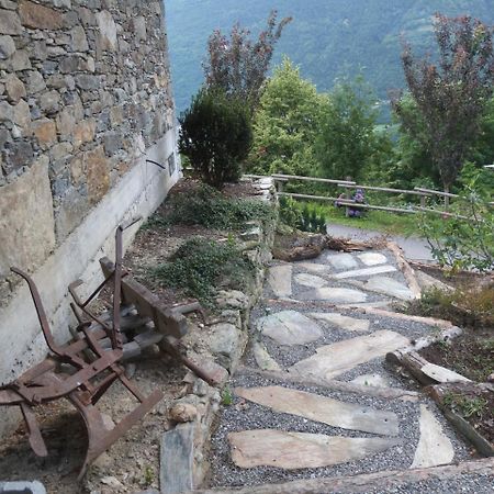 Agriturismo Al Castagneto Villa Mazzo di Valtellina Eksteriør billede