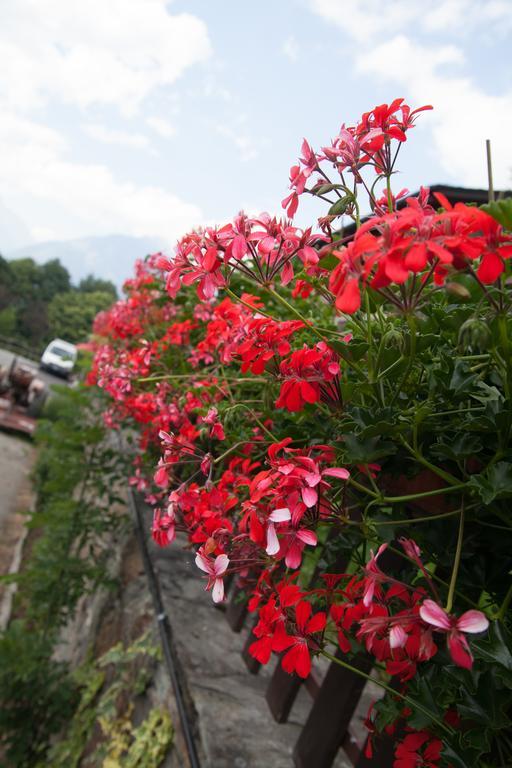 Agriturismo Al Castagneto Villa Mazzo di Valtellina Eksteriør billede