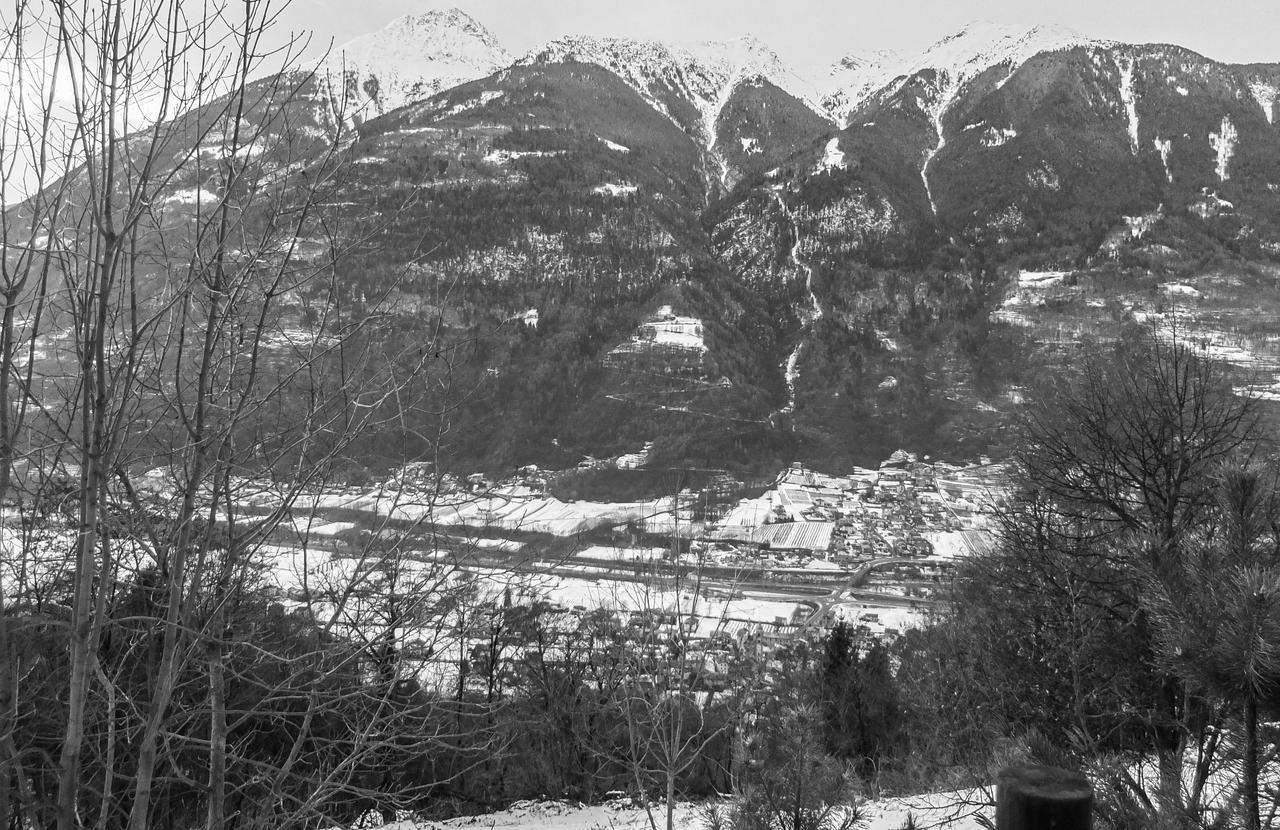 Agriturismo Al Castagneto Villa Mazzo di Valtellina Eksteriør billede