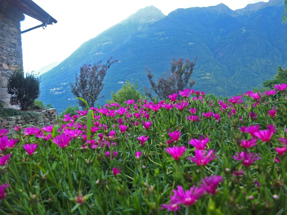 Agriturismo Al Castagneto Villa Mazzo di Valtellina Eksteriør billede