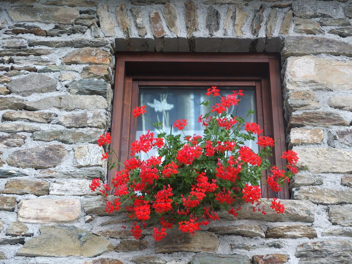 Agriturismo Al Castagneto Villa Mazzo di Valtellina Eksteriør billede